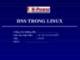 DNS Trong Linux
