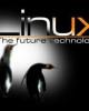 Thực hành Unix, Linux