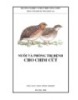 Ebook Nuôi và phòng trị bệnh cho chim cút