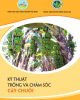Ebook Kỹ thuật trồng và chăm sóc cây chuối