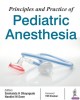 Ebook Principles and practice of pediatric anesthesia: Part 1