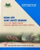 Ebook Bệnh sốt xuất huyết dengue và các biện pháp phòng bệnh tại cộng đồng: Phần 2