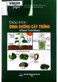 Giáo trình DINH DƯỠNG CÂY TRỒNG - Nguyễn Kim Quyên (cb), Nguyễn Hoàng Anh